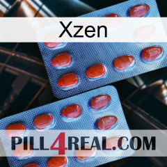 Xzen 05